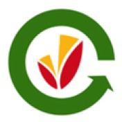 Logo Lombard Silvestre