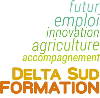 Logo Delta Sud Formation