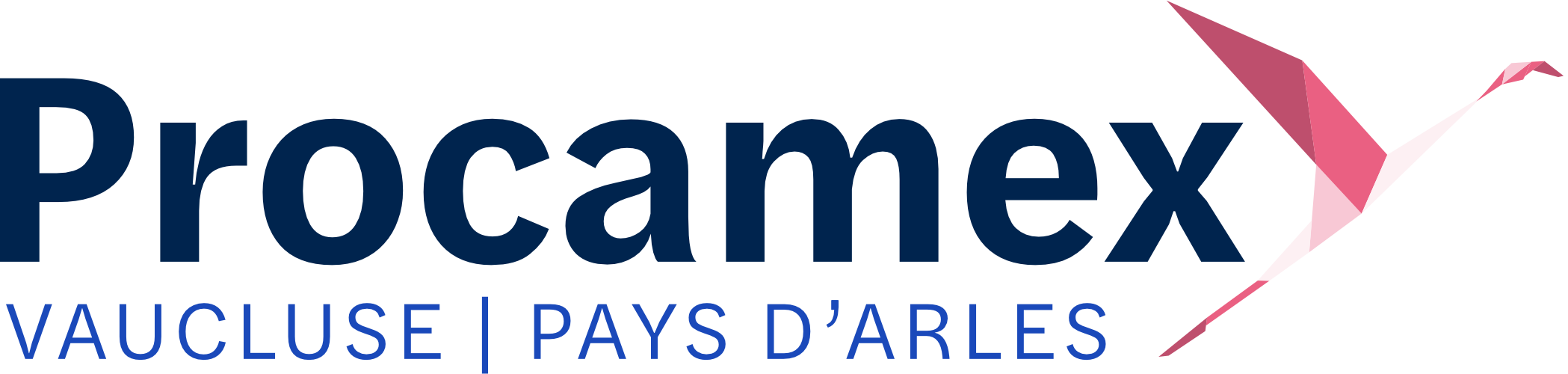 Logo Procamex